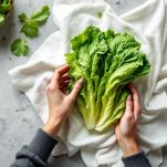 Lattuga pulita con erbe aromatiche tritate