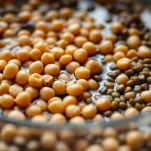 Ciotola con fave, ceci e lenticchie immerse in acqua