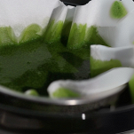 olio verde al basilico