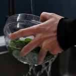 olio verde al basilico