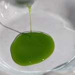 olio verde al basilico