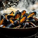 Cozze pulite e aperte