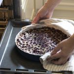 dreamstime_m_137528321