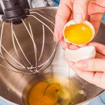 dreamstime_m_317657068-1