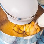 dreamstime_m_317657176-1