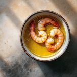 Salsa lucida emulsionata