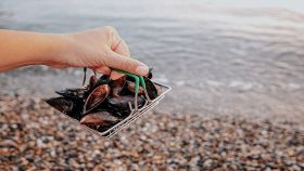 Mano sorregge cozze al-mare
