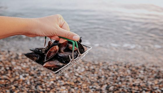 Mano sorregge cozze al-mare