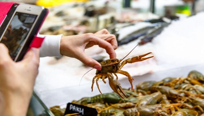 Ragazza fotografa granchio vivo al mercato