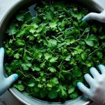 Mani con guanti che tagliano le ortiche su un tagliere