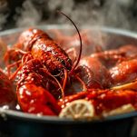 Astici immersi in acqua bollente salata.