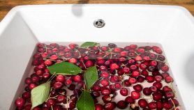 Ciliegie in ammollo nel lavandino