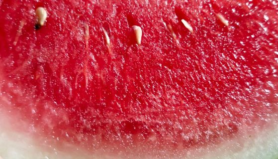 I colori dei semi dell'anguria