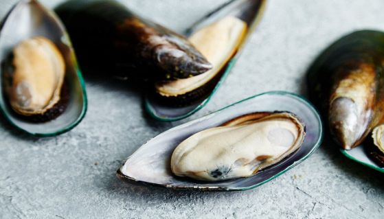 Cozze bianche aperte