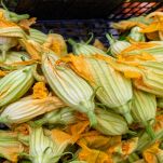 Fiori di zucchina lavati e asciutti