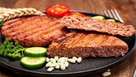 Gustosi hamburger di soia