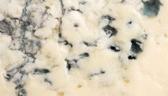 Gorgonzola