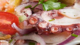 Polpo alla catalana