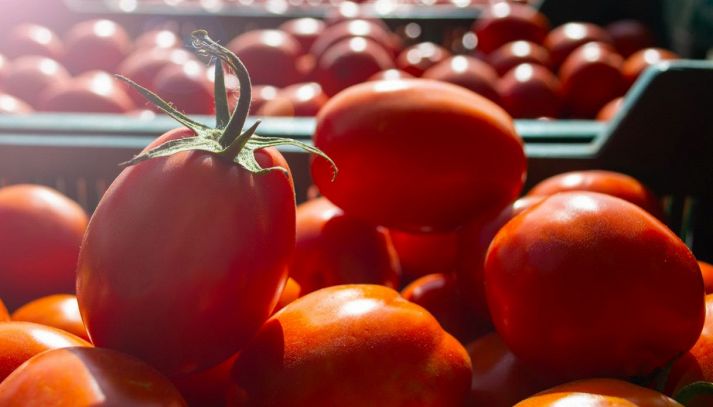 Il pomodoro cambia sapore?