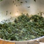 ravioli-di-boragine-cottura-erba