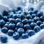 Cipolla in casseruola