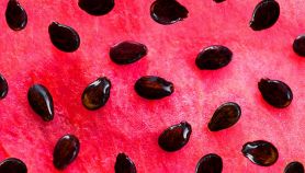 I semi d'anguria, benefici