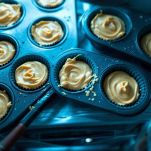 Stampi pieni nel frigorifero