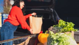 Cibi tossici in auto sotto il sole