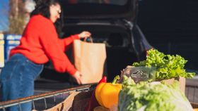 Cibi tossici in auto sotto il sole