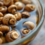 Funghi secchi in ammollo in acqua tiepida