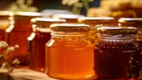 Barattoli di diverse varietà di miele