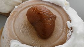 Budino di castagne