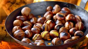 castagne sudano cosa significa segreti caratteristiche
