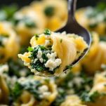 Pirofila con conchiglioni farciti pronti per la cottura