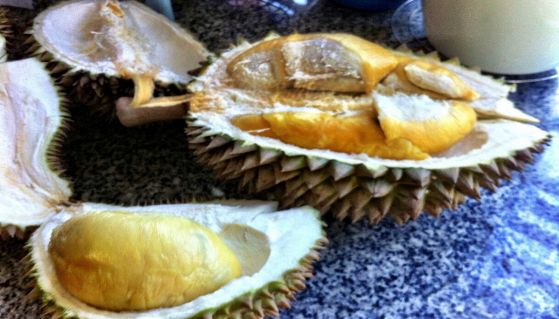 Frutti durian aperti