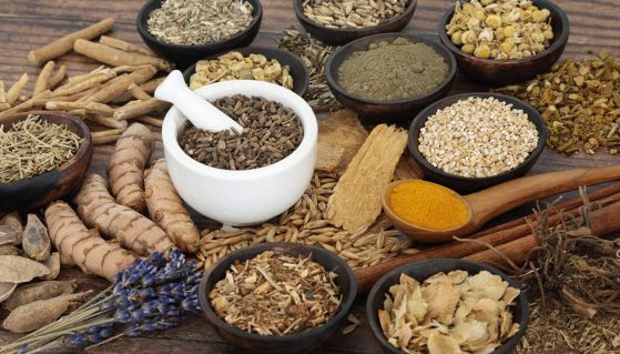 migliori tisane esame universitario concentrazione relax contro ansia