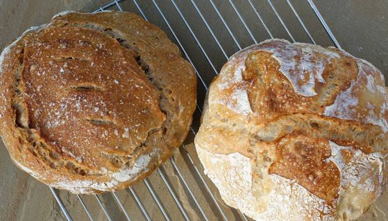 Pane fragrante appena sfornato