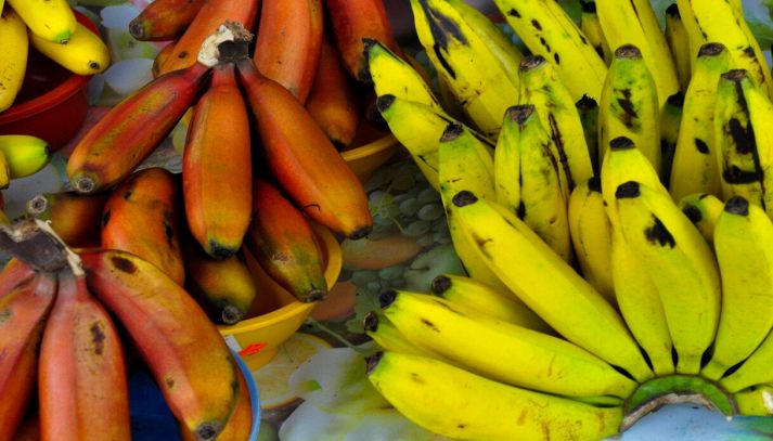 Particolari banane tropicali