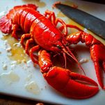 Astici tagliati a metà che rosolano con olio e aglio