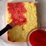 torta-diplomatica-pan-di-spagna-e-alchermes