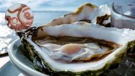 Cosa significa se c'è un verme nell'ostrica?