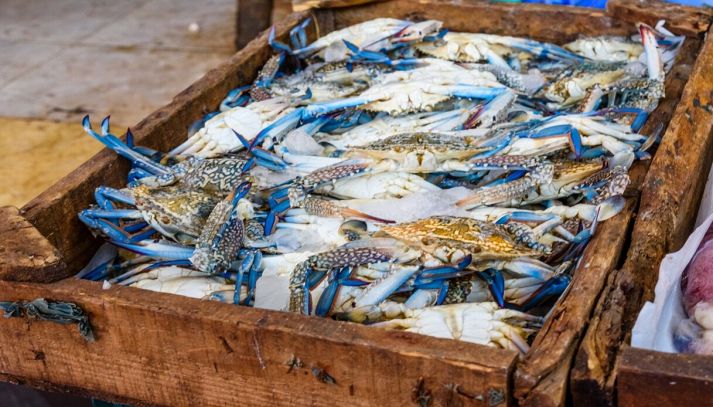 Cassetta di granchio blu al mercato del pesce