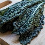 Cavolo nero