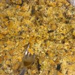 crumble-di-zucca-preparazione-crumble-1