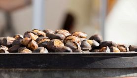 Deliziose castagne arrosto