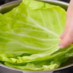 lasagna-di-verze-bollitura