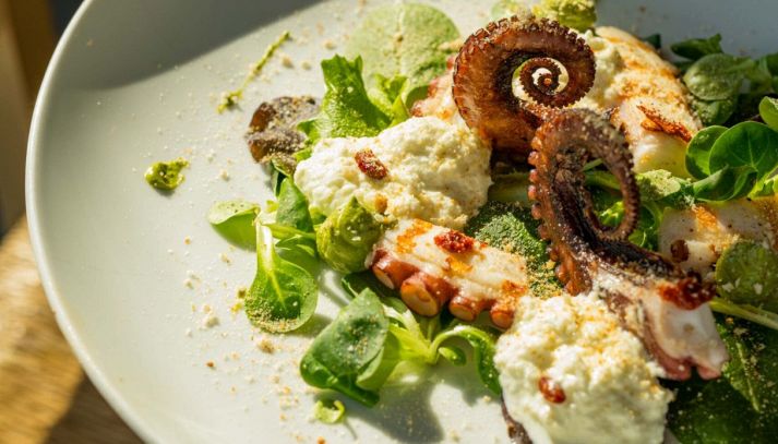 La selezione delle materie prime nei ristoranti: un'esperienza diretta