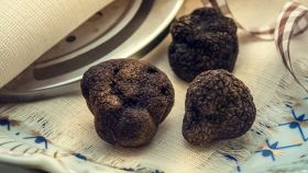 Da cosa dipende il prezzo del tartufo