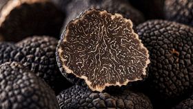 Come riconoscere i tartufi?