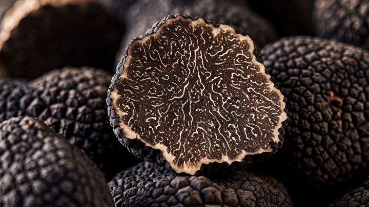 Tartufo vero o falso? Ci sono delle differenze che devi conoscere (e ti dicono la verità)